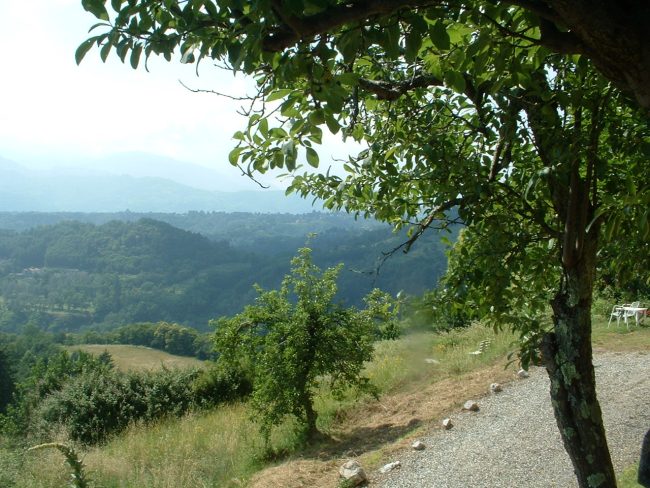 Picture of Eco Friendly Apartments in Atlanta, Georgia - Renter Insights