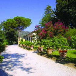 A wonderful historic villa for sale near Cortona Tuscany (14)