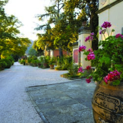 A wonderful historic villa for sale near Cortona Tuscany (3)