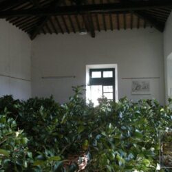 A wonderful historic villa for sale near Cortona Tuscany (51)