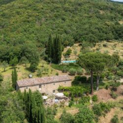 A wonderful house for sale with pool near Cortona in Tuscany (4)