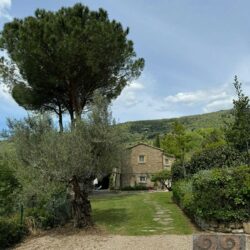 A wonderful house for sale with pool near Cortona in Tuscany (46)