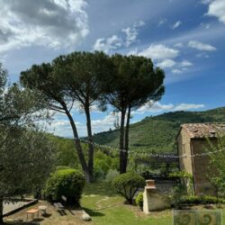 A wonderful house for sale with pool near Cortona in Tuscany (48)