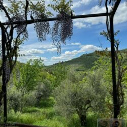 A wonderful house for sale with pool near Cortona in Tuscany (50)