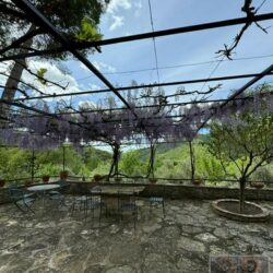 A wonderful house for sale with pool near Cortona in Tuscany (53)