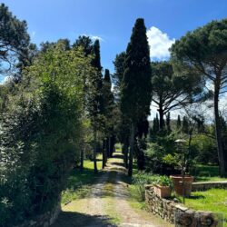 Ancient villa for sale near Cortona Tuscany (43)