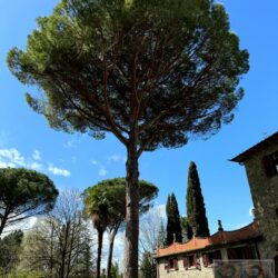 Ancient villa for sale near Cortona Tuscany (45)