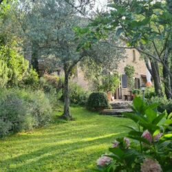 Stone house with Pool for sale near Cortona Tuscany (46)