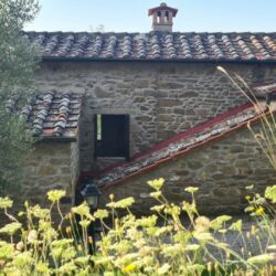Stone house with Pool for sale near Cortona Tuscany (58)
