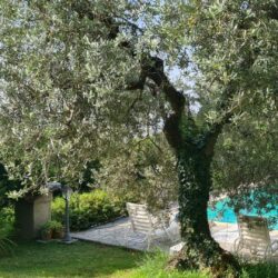 Stone house with Pool for sale near Cortona Tuscany (67)